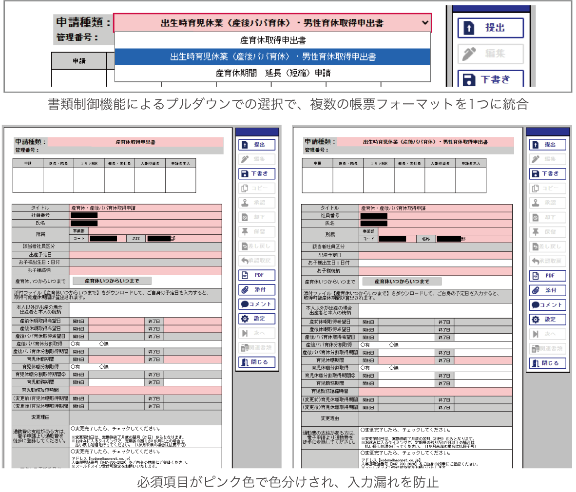 入力画面 - 詳細