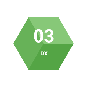 03 DX