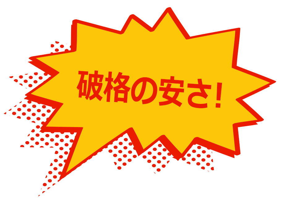 破格の安さ！
