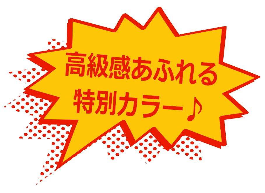 高級感あふれる特別カラー♪