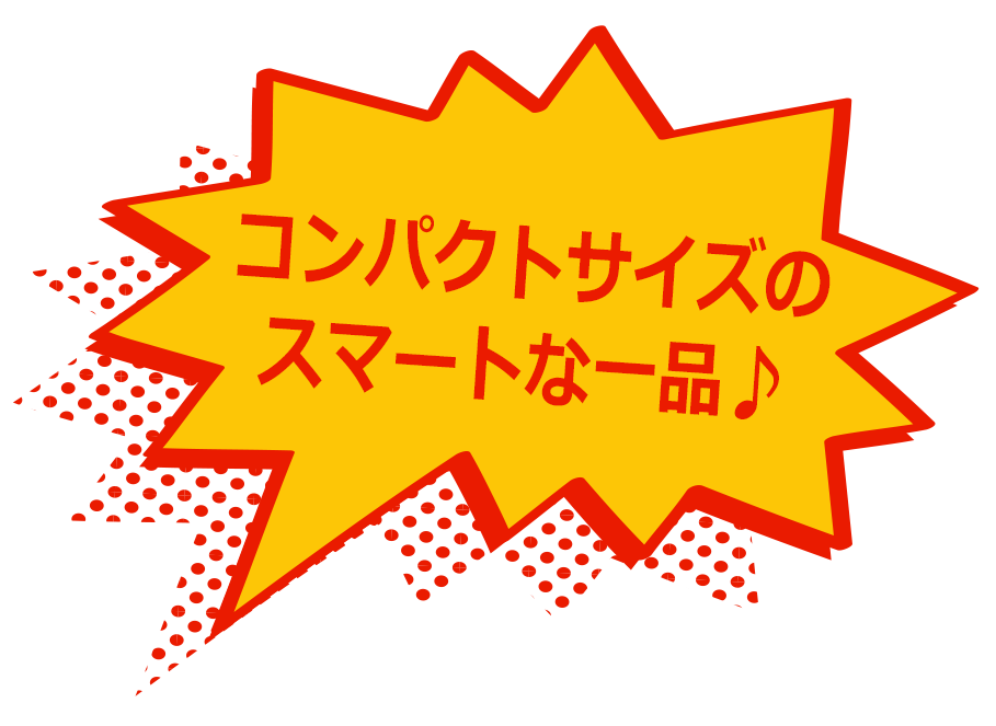 コンパクトサイズのスマートな一品♪