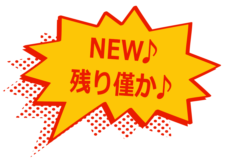 初掲載♪残り僅か♪