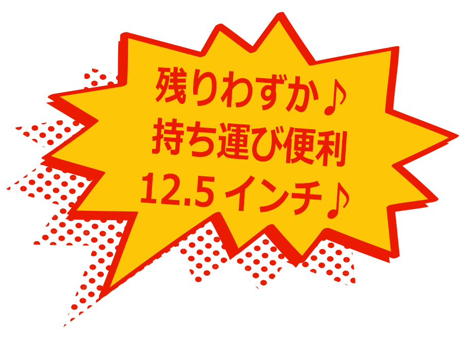 残りわずか♪持ち運び便利12.5インチ♪